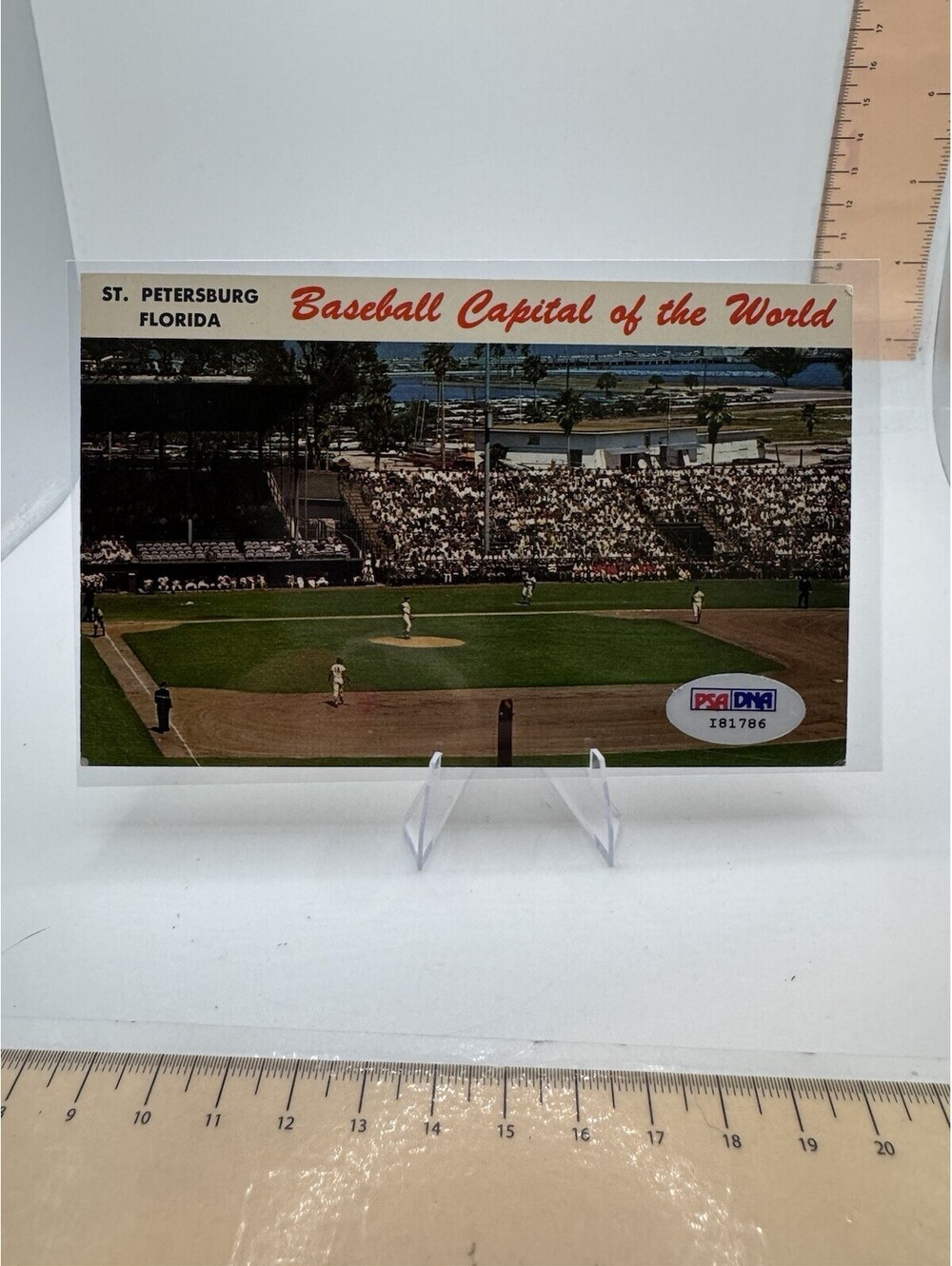 St Pete FL Lang Field Baseball Stadium Sports Postcard Signed Jim Campbell PSA